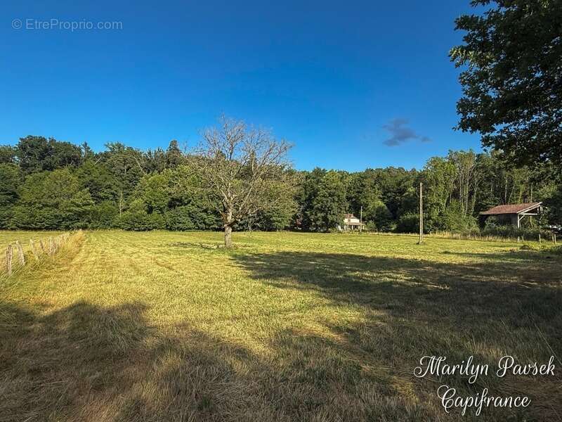 Propriété de charme avec 3,5 hectares – Ancien moulin rénové – Secteur Sermentizon - photo 19