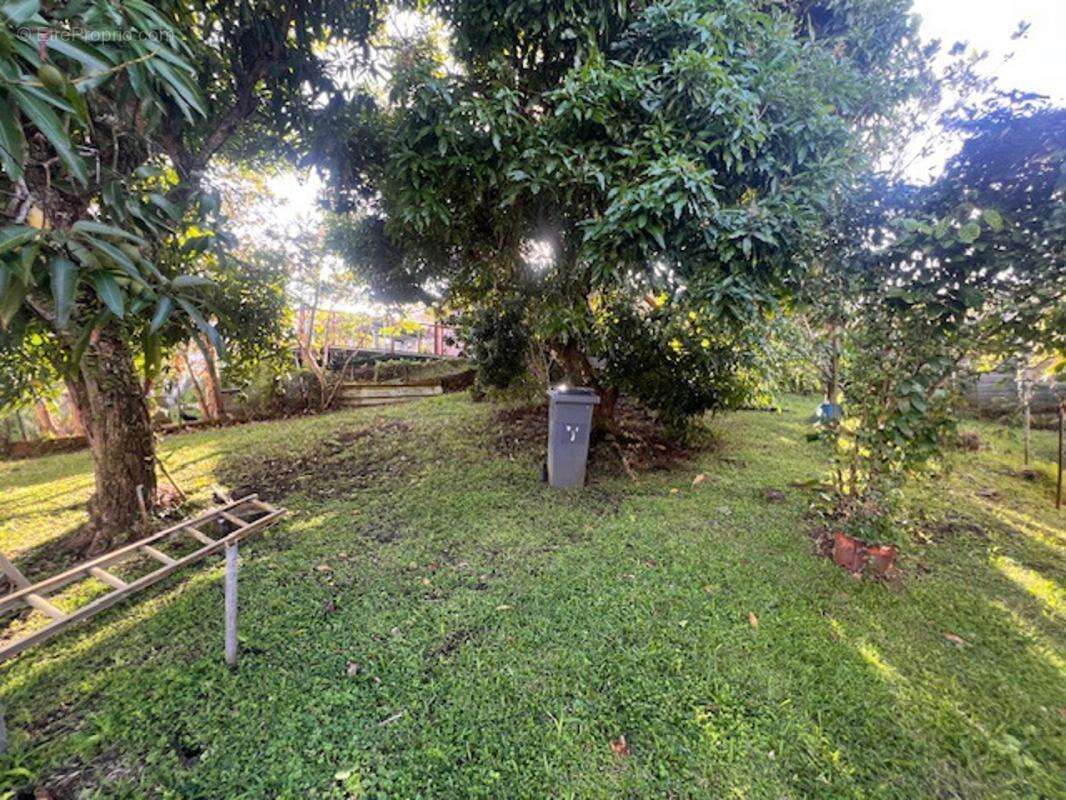 Appartement à FORT-DE-FRANCE