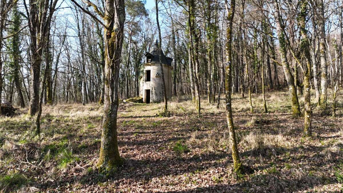Maison à LE BUISSON-DE-CADOUIN
