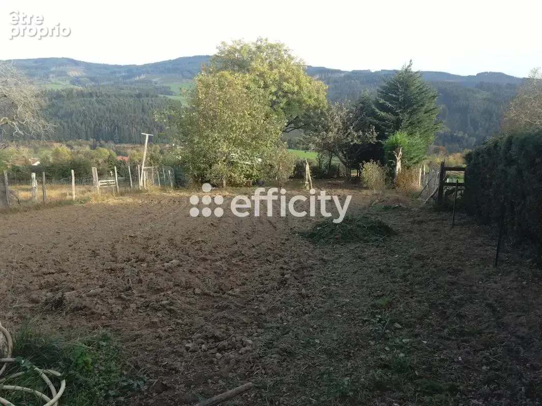 Maison de village - photo 4