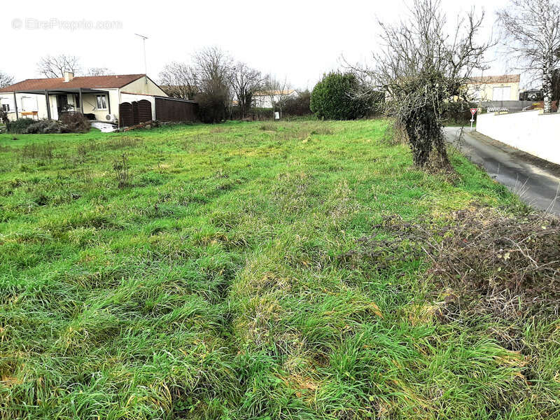 Terrain à MARSAIS-SAINTE-RADEGONDE