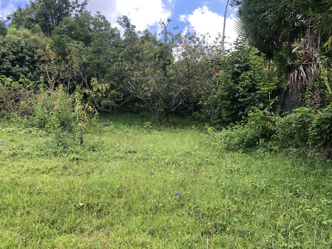 Terrain à LE TAMPON