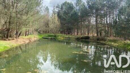 Photo 7 - Terrain à BAUGE