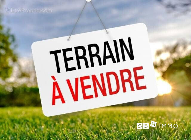 Terrain à SAINT-HILAIRE
