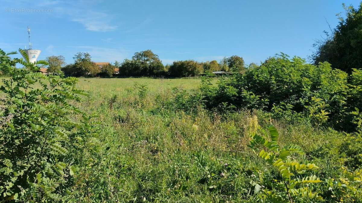 Maison à CHEF-BOUTONNE