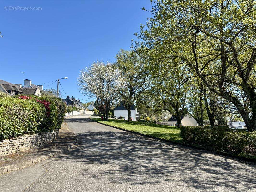 Terrain à SAINT-AVE