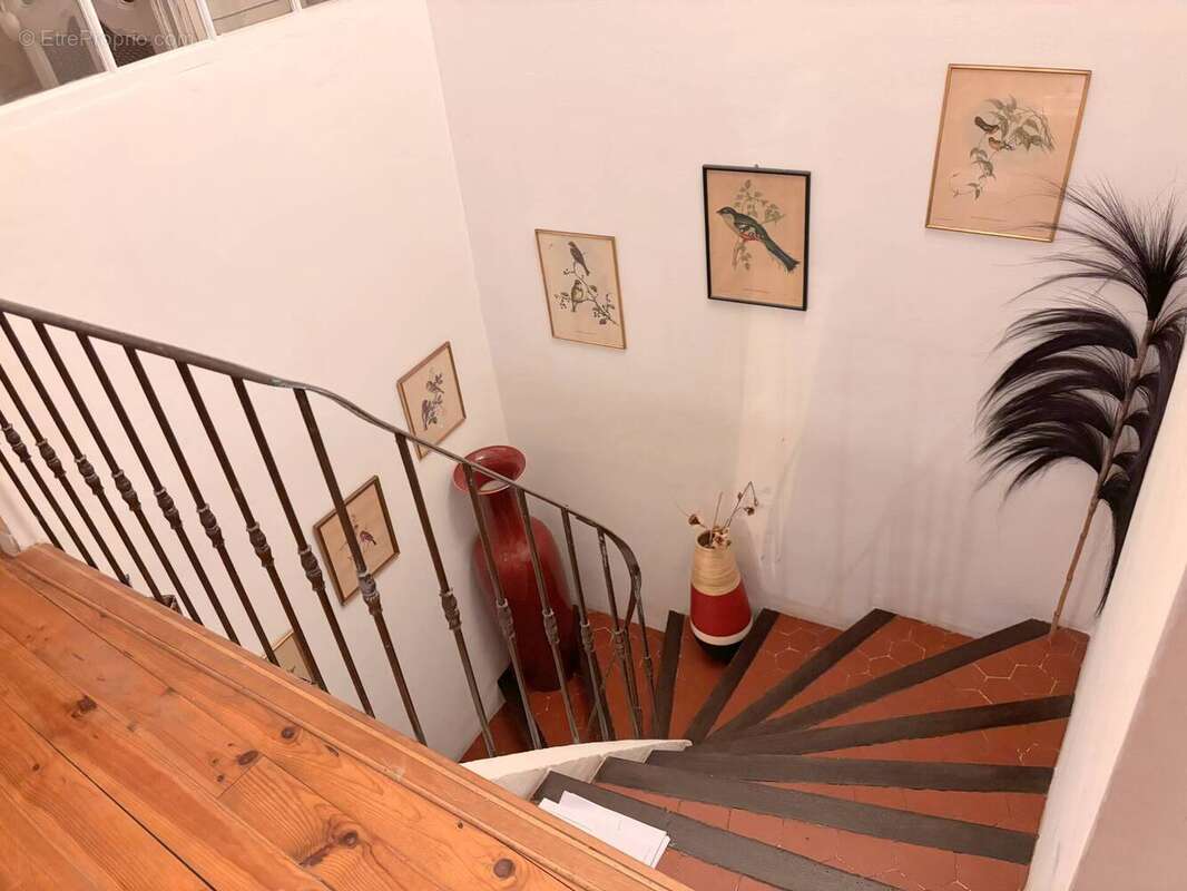 Autre à ROQUEBRUNE-SUR-ARGENS