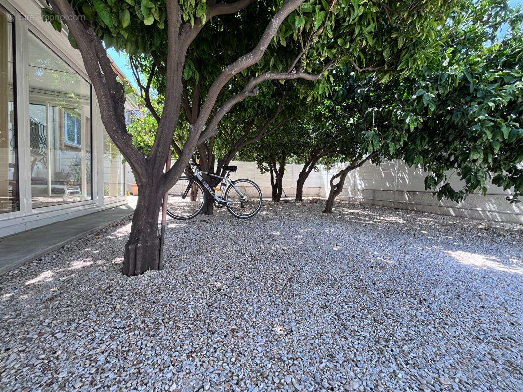 Magnifique appartement de type T2 en rez-de-chaussée avec jardin de 170 m² sans vis-à-vis et véranda de 20 m² - photo 2