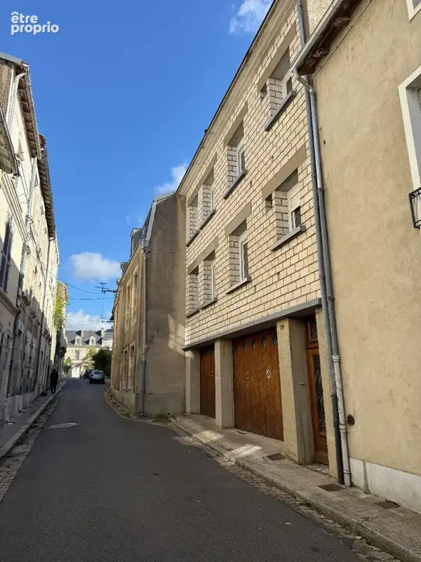La pepite urbaine - poitiers plateau - photo 1