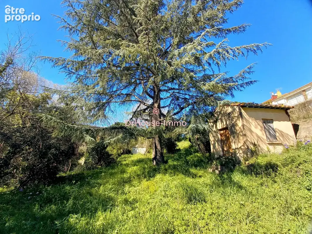 Terrain 1 555 m² à vendre à Collioure (66190) - photo 33