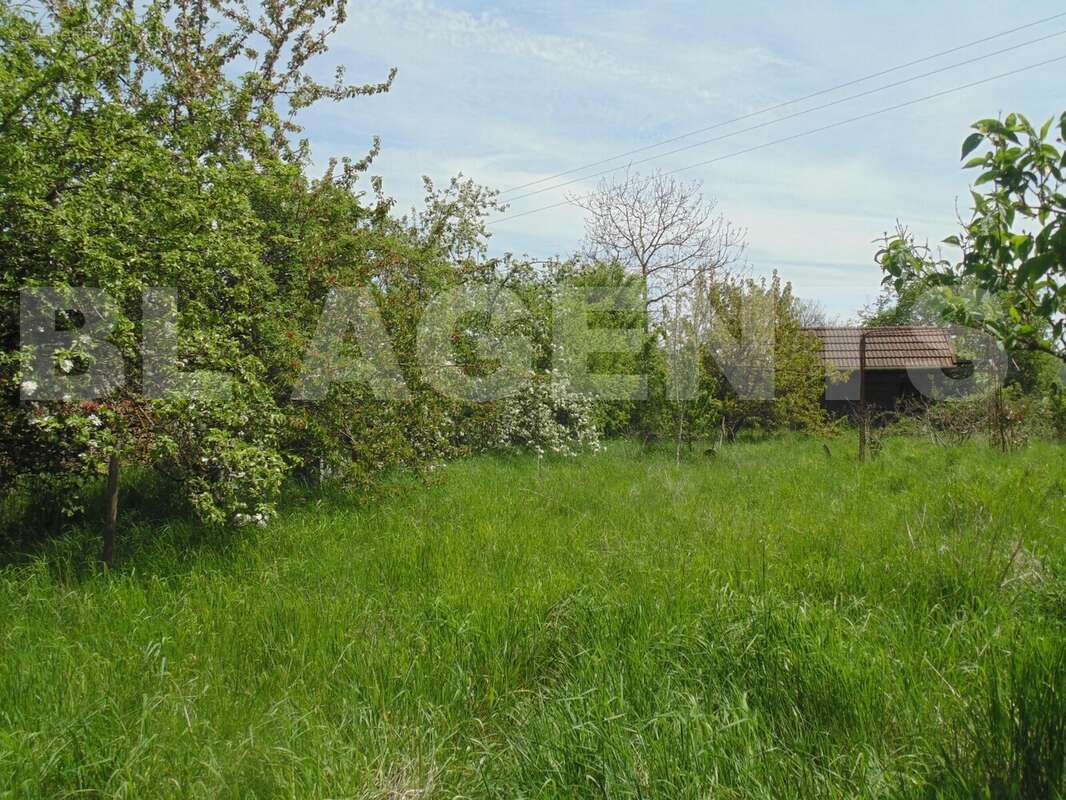 DSC05547 RIBEZZO - Terrain à VITTEAUX