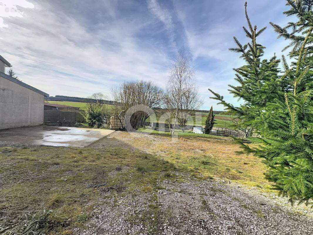 Maison à DAINVILLE-BERTHELEVILLE