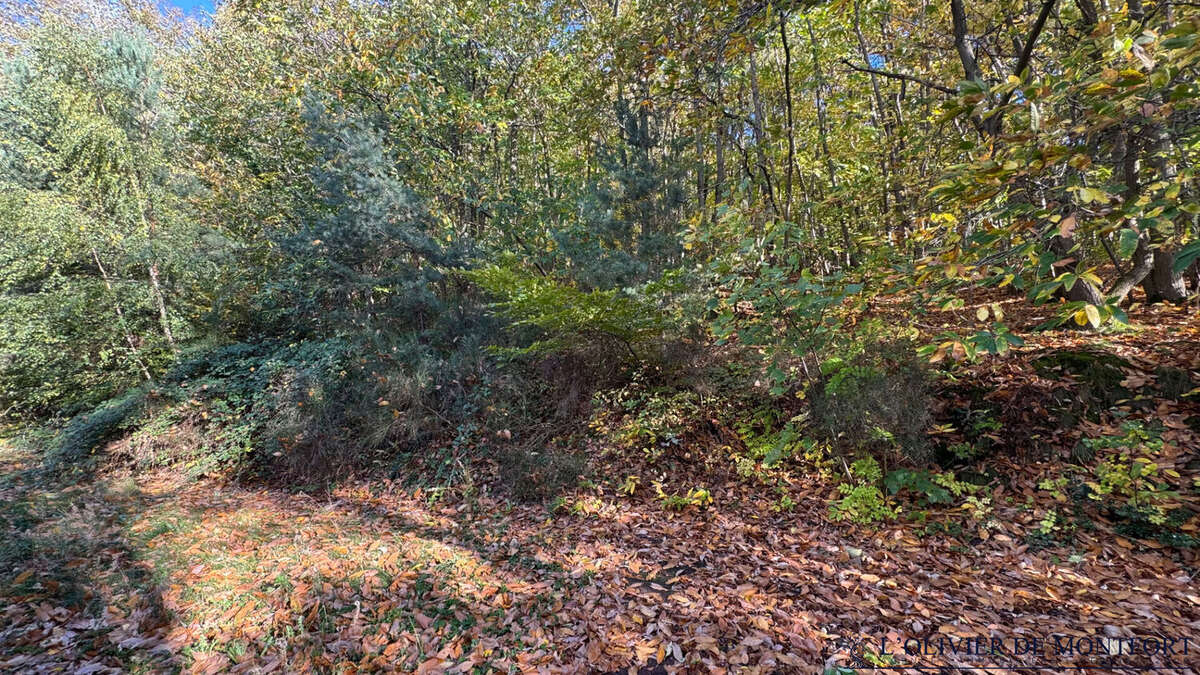 Maison à MONTFORT-L'AMAURY