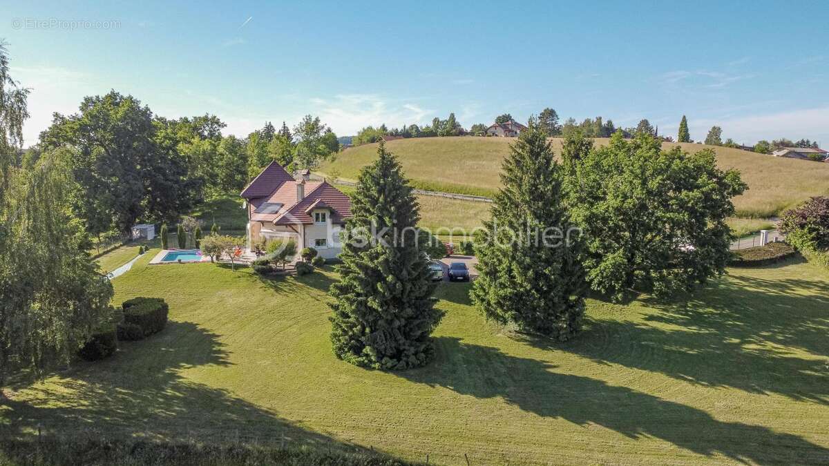 Magnifique propriété de charme / Piscine / Sous-sol / Terrain XXL - photo 5