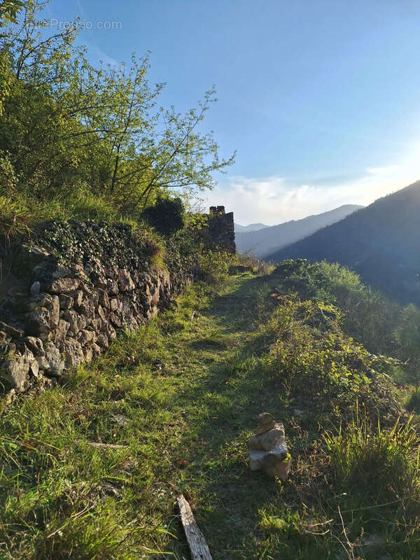 Maison à BREIL-SUR-ROYA
