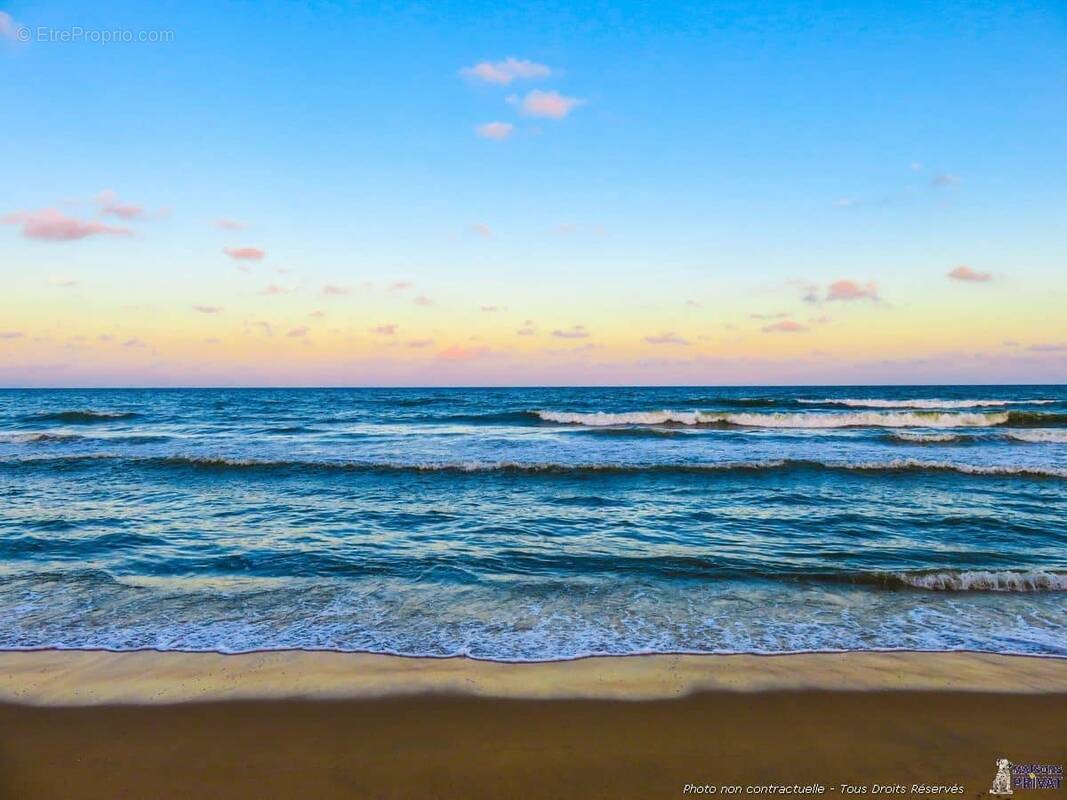 Terrain à LA BARRE-DE-MONTS