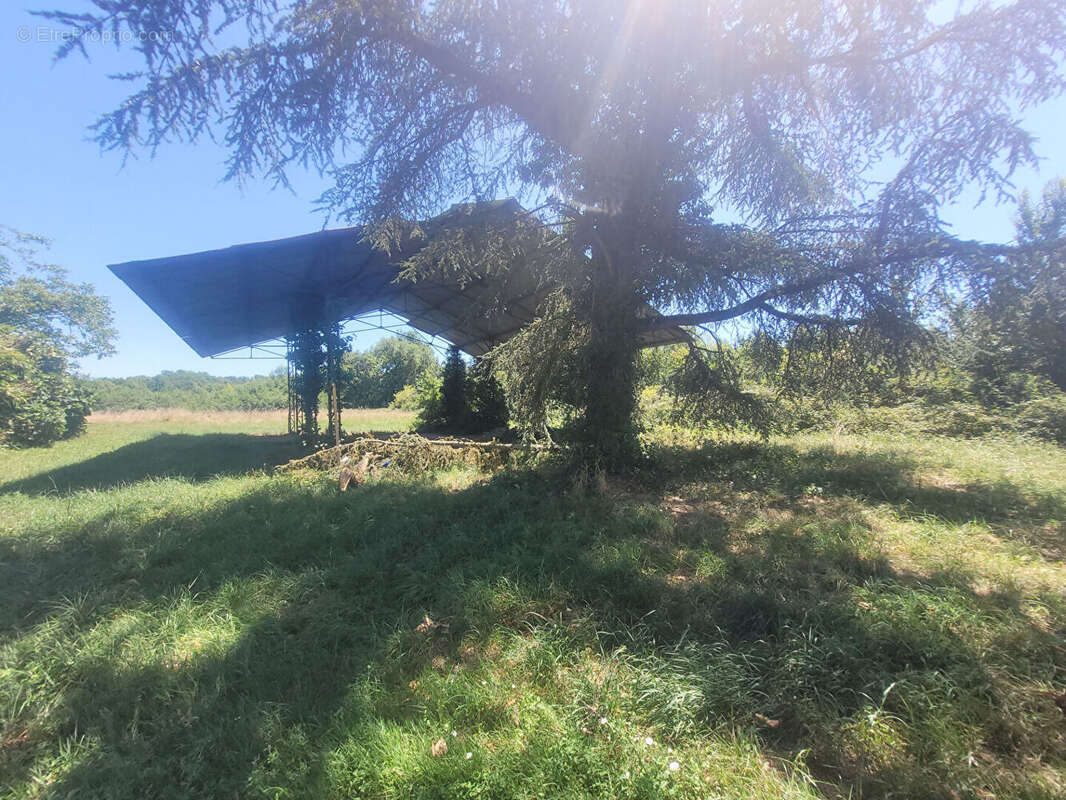 Terrain à MONTAUBAN