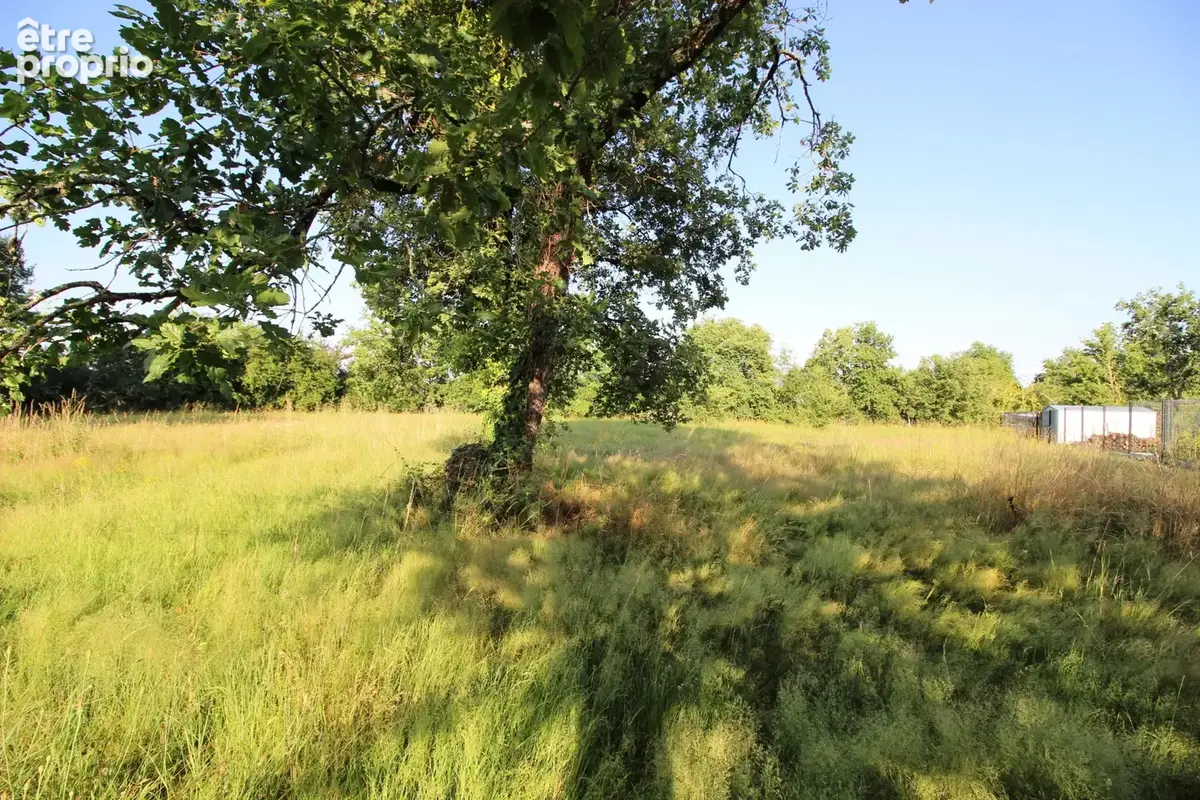 Terrain à MEAUZAC