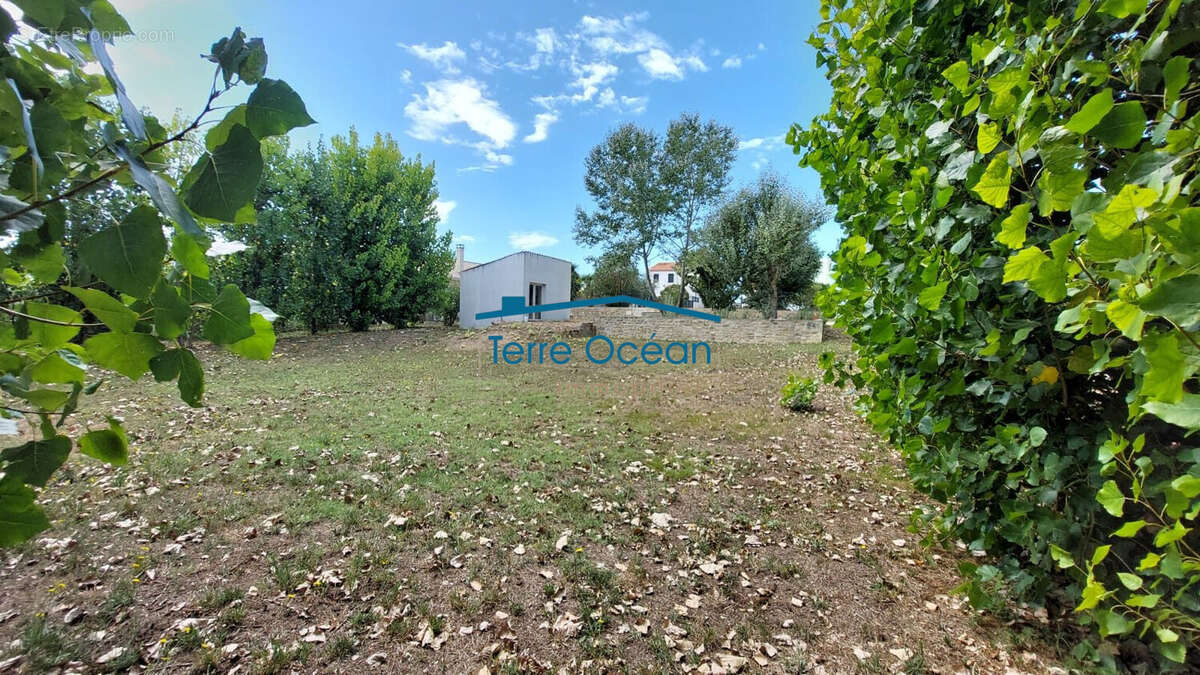 Terrain 564 m² à Royan  - photo 3