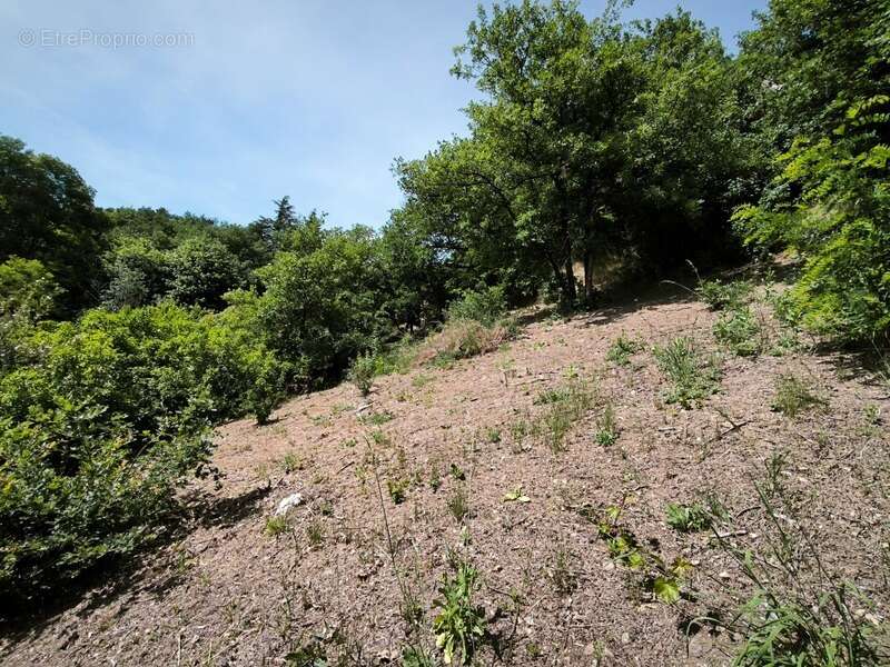 Terrain à TARTARAS
