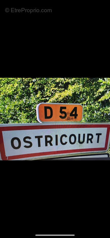 Terrain à OSTRICOURT