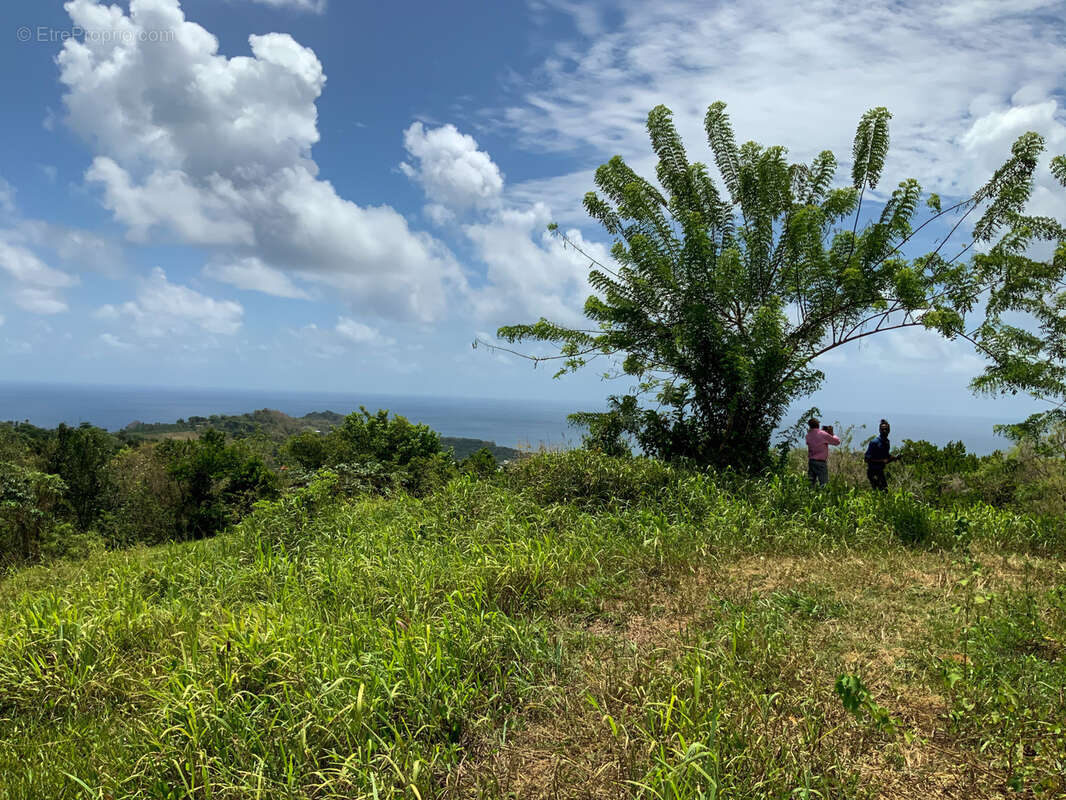 Terrain à SAINTE-MARIE