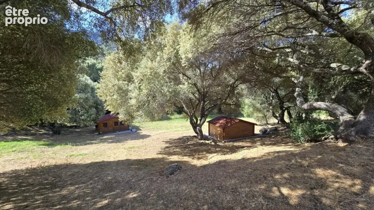 Propriano, Superbe propriété de 2 villas, piscine, vue mer, terrain de 3793 m2, vue panoramique - photo 14