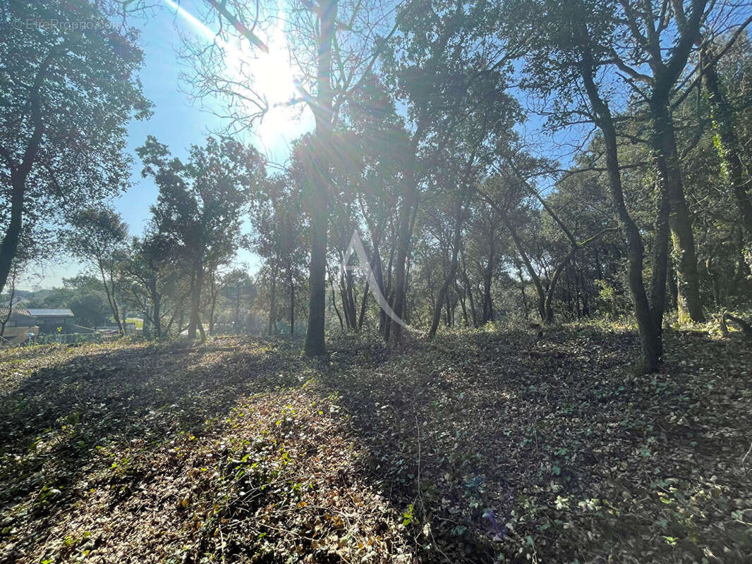 Terrain à LONGEVILLE-SUR-MER