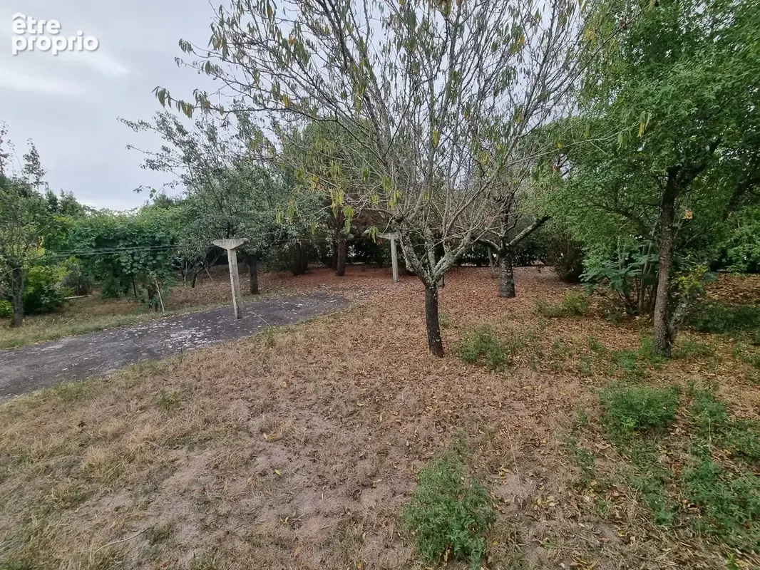 Maison 9 pièces 250 m² à vendre à Frouzins (31270) - photo 3