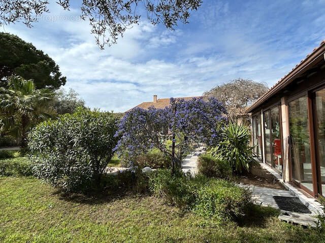 Maison à SAUSSET-LES-PINS