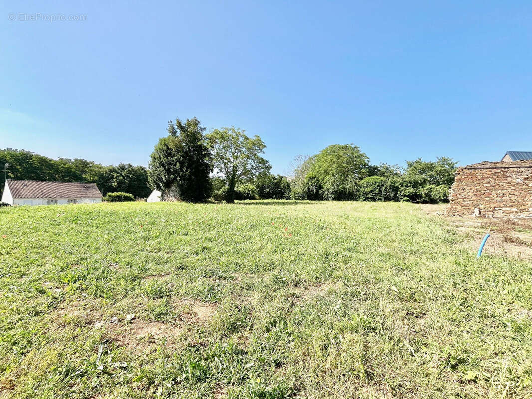 Terrain à vendre hors lotissement Laize Clinchamps 1127 m2 - photo 3