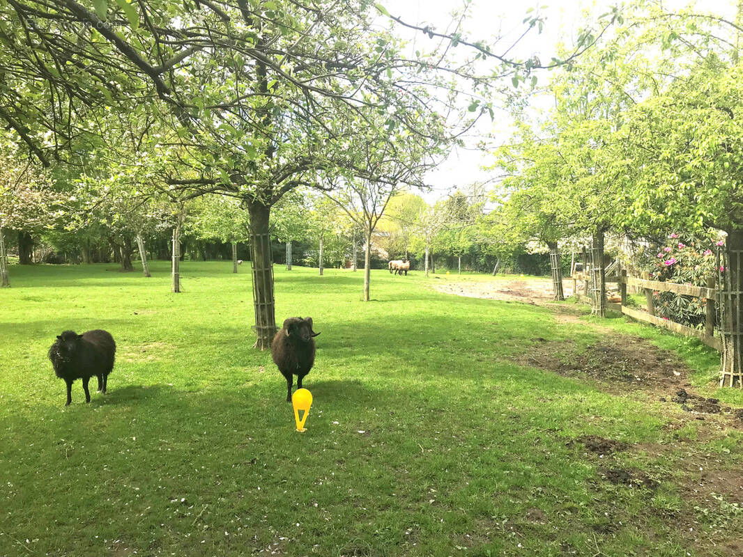 Terrain à LE BOCASSE