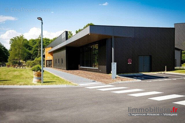 Commerce à CHATENOIS