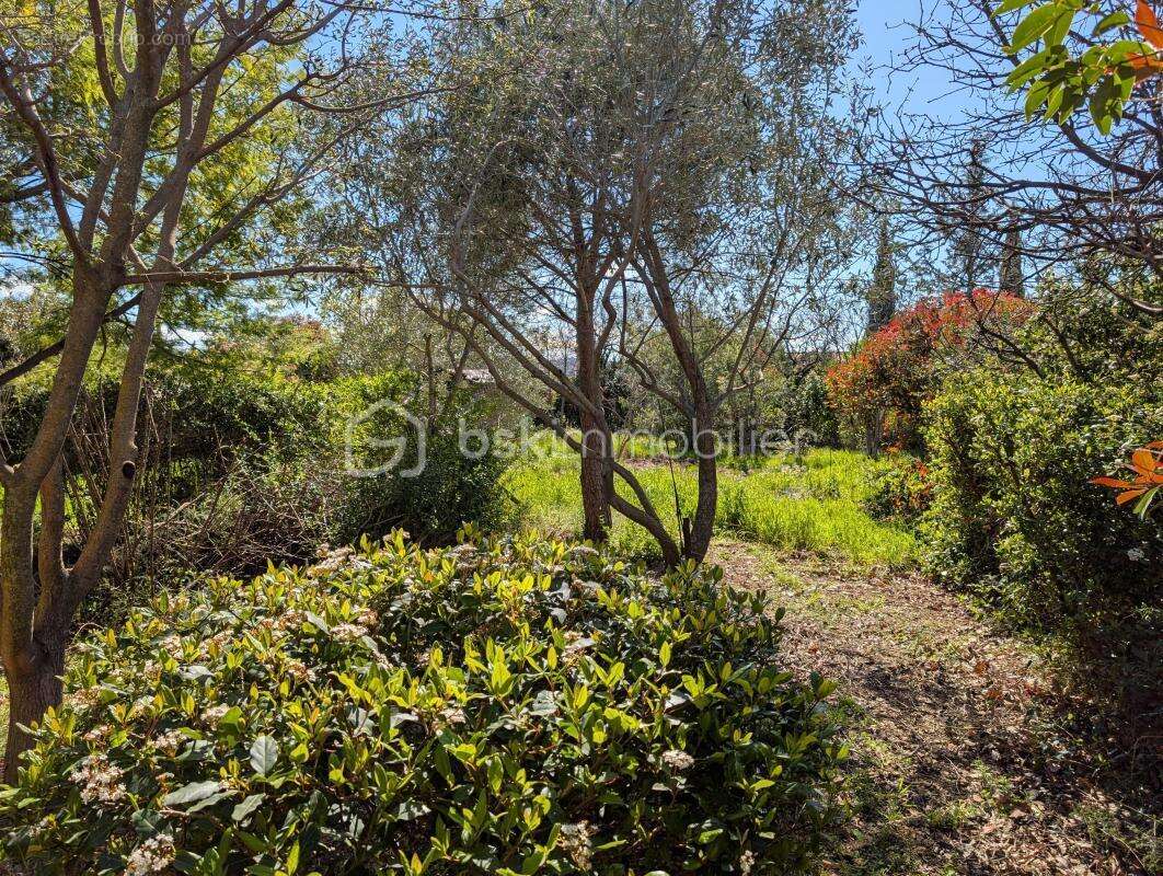 Pavillon de plain-pied de 110 m² sur une parcelle arborée de 1 339 m² - photo 3