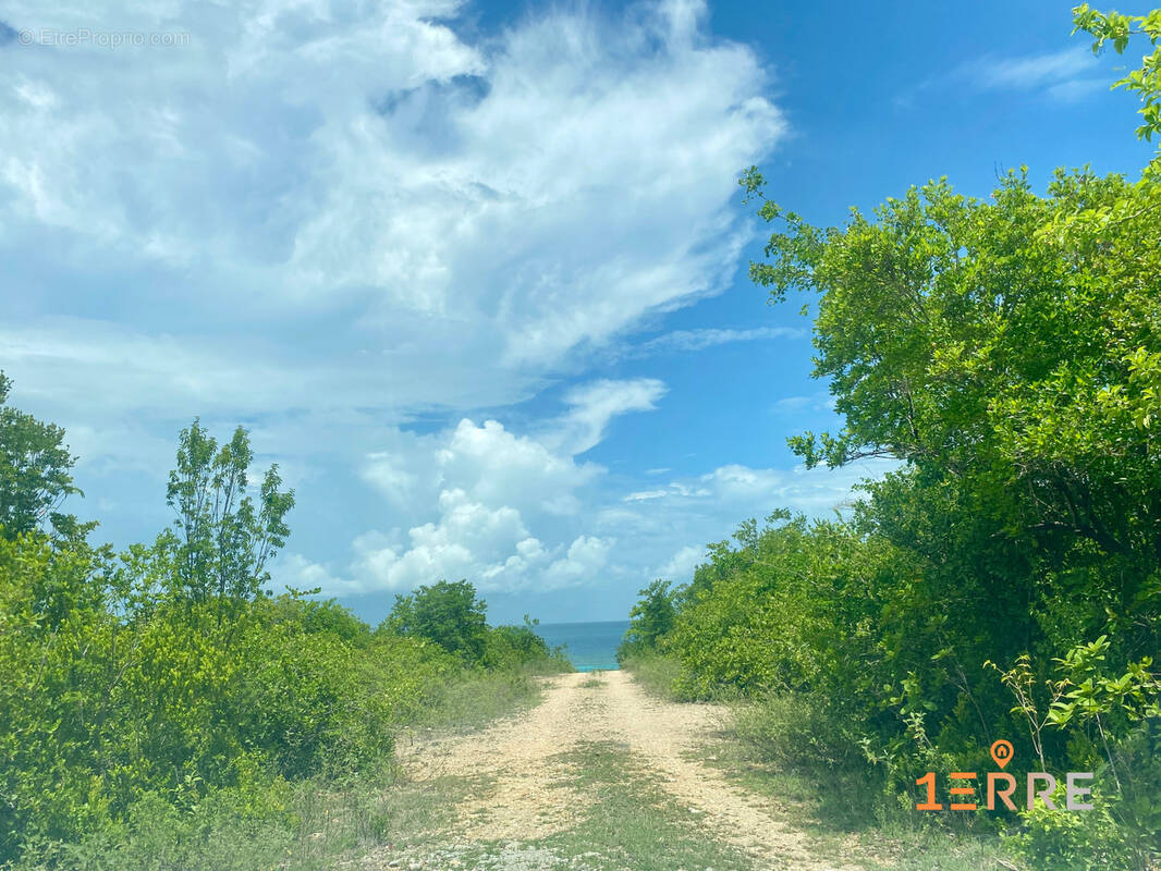 Terrain à SAINT-MARTIN
