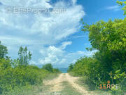 Terrain à SAINT-MARTIN