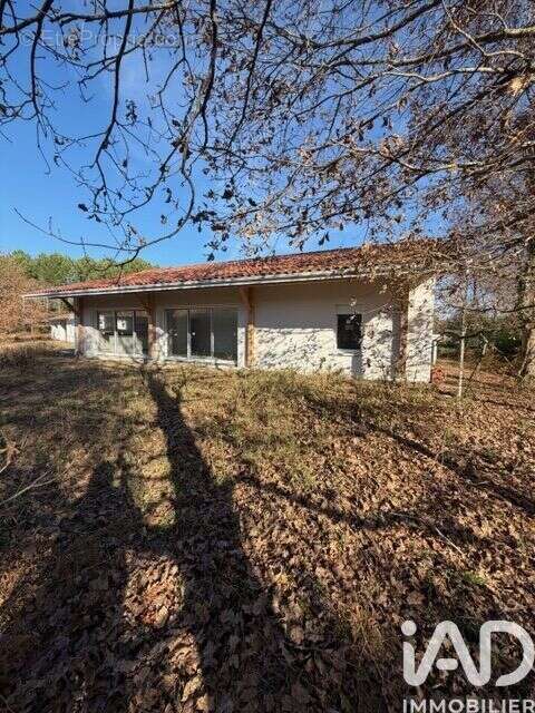 Photo 4 - Maison à VIELLE-SAINT-GIRONS