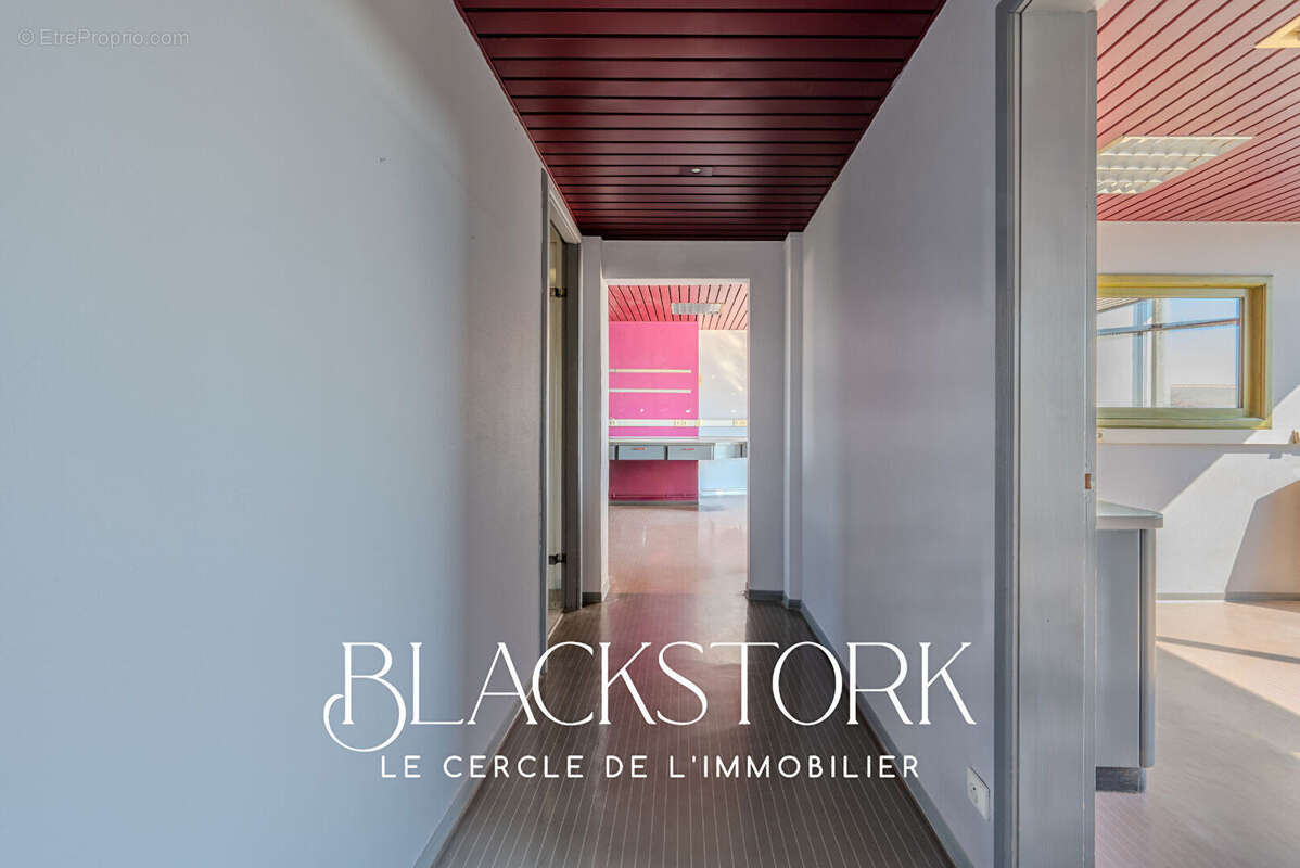 Local professionnel - strasbourg roberstau - vue degagee - photo 7