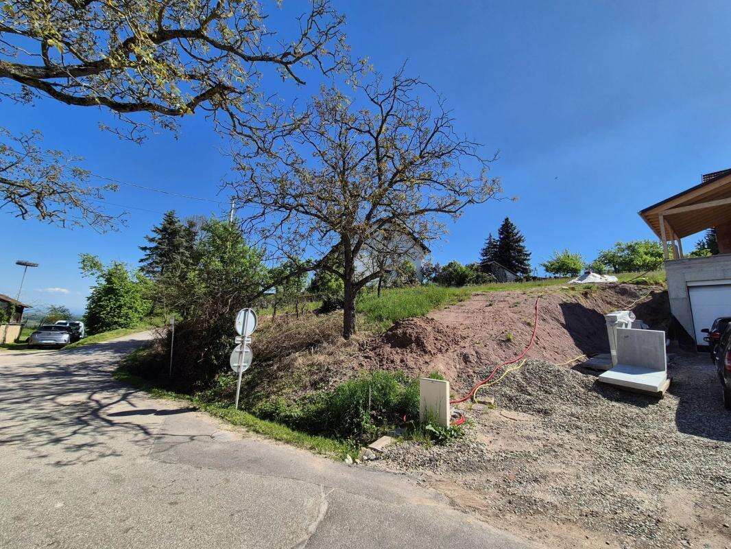 Terrain à BLIENSCHWILLER