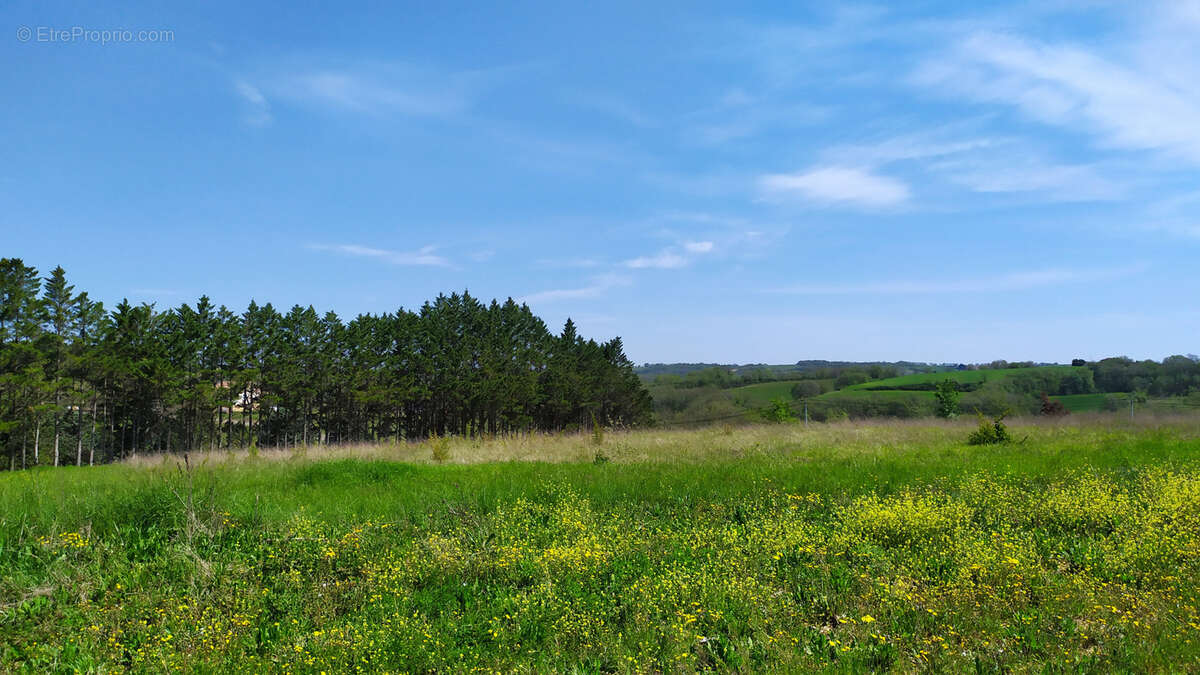 Terrain à AUCH
