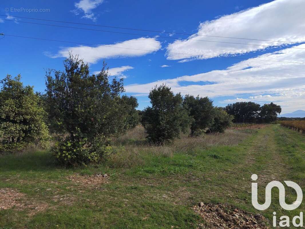 Photo 2 - Terrain à SERIGNAN-DU-COMTAT