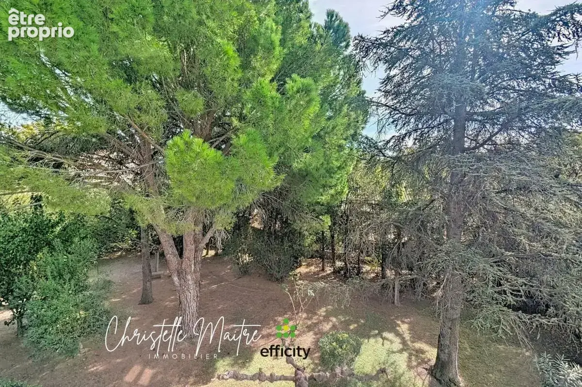 Appartement - photo 16