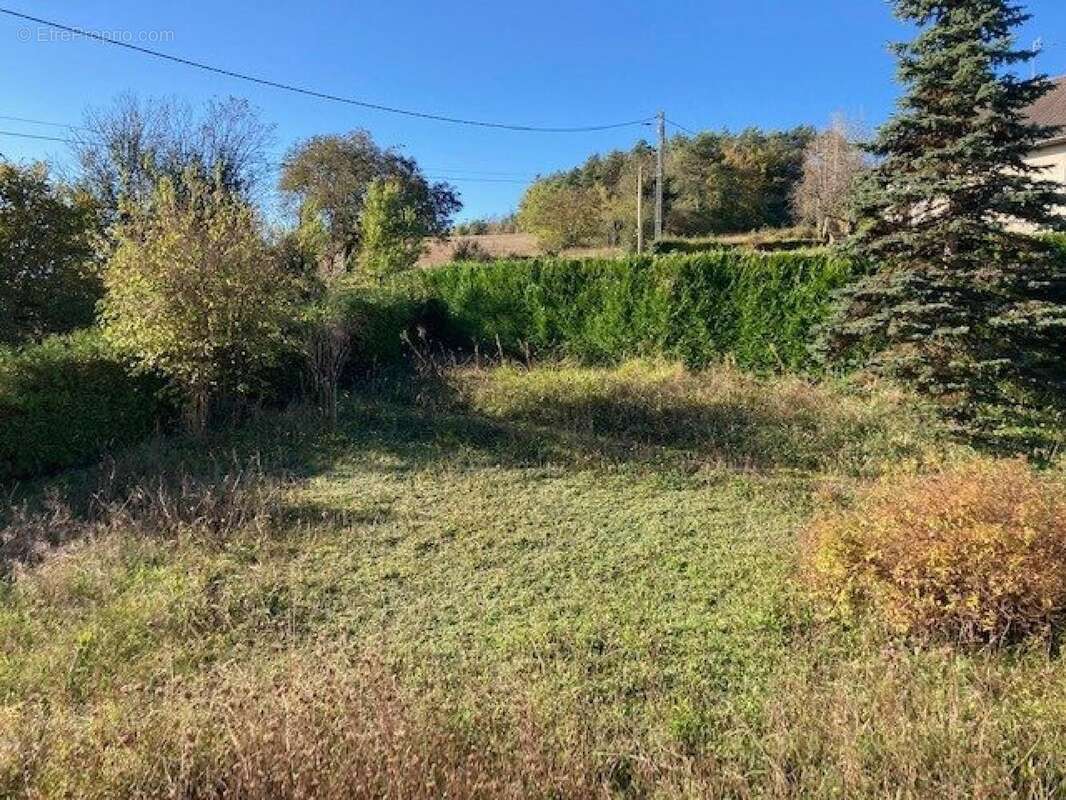 Photo 3 - Maison à GOMMEVILLE