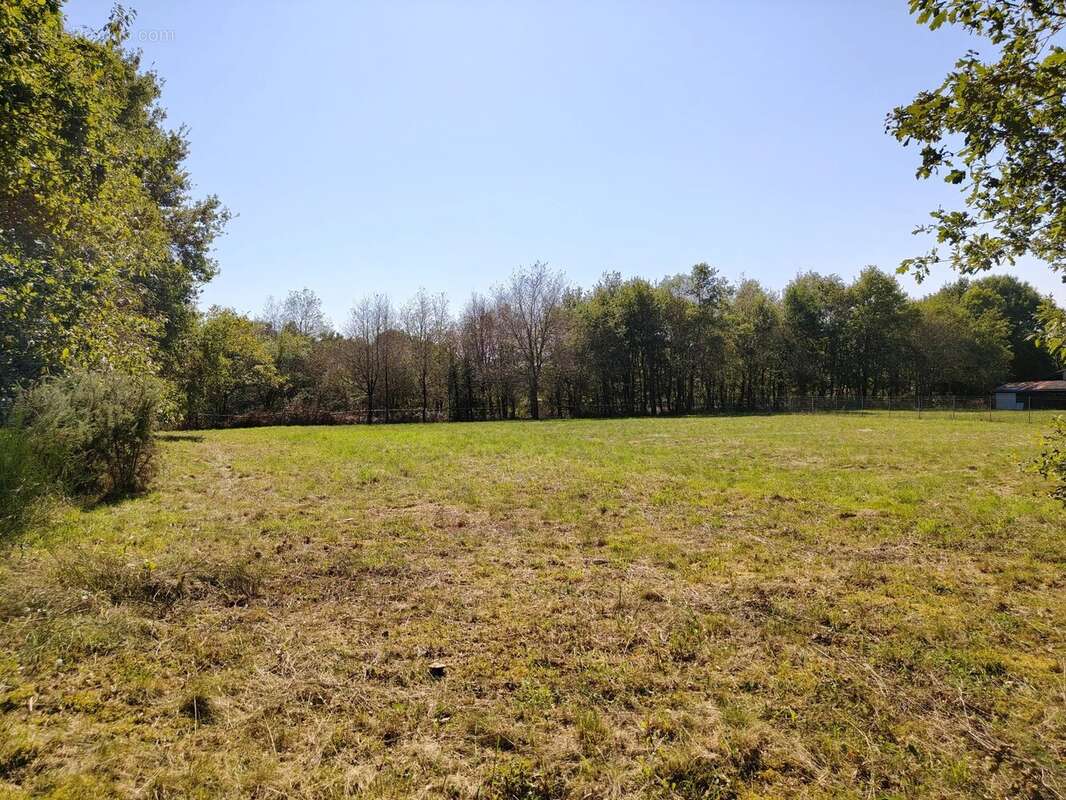 Terrain à PIEGUT-PLUVIERS