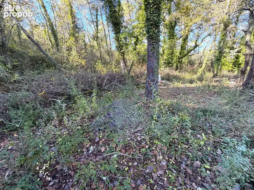 Terrain à CALLIAN