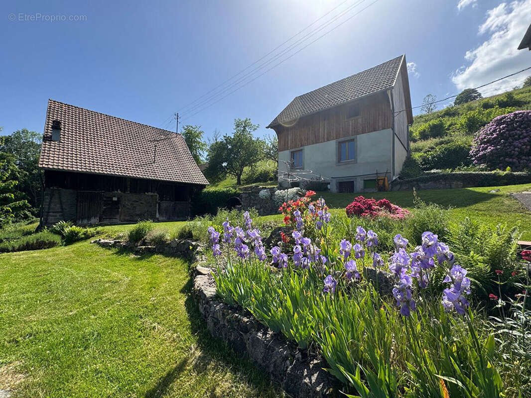 Maison à SOULTZEREN