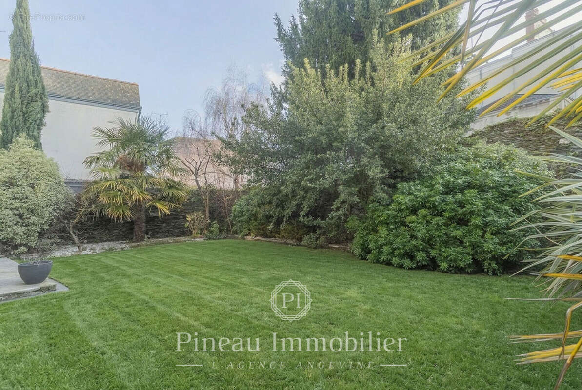 Maison à ANGERS