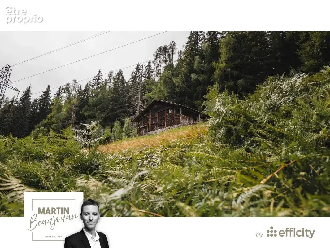 Maison 3 pièces 50 m² à vendre à Les Houches (74310) - photo 15