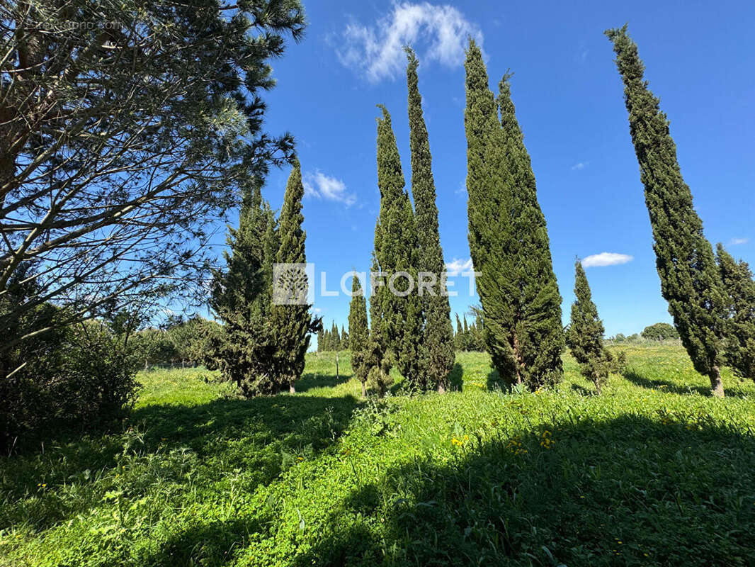 Terrain à SAINT-CYPRIEN