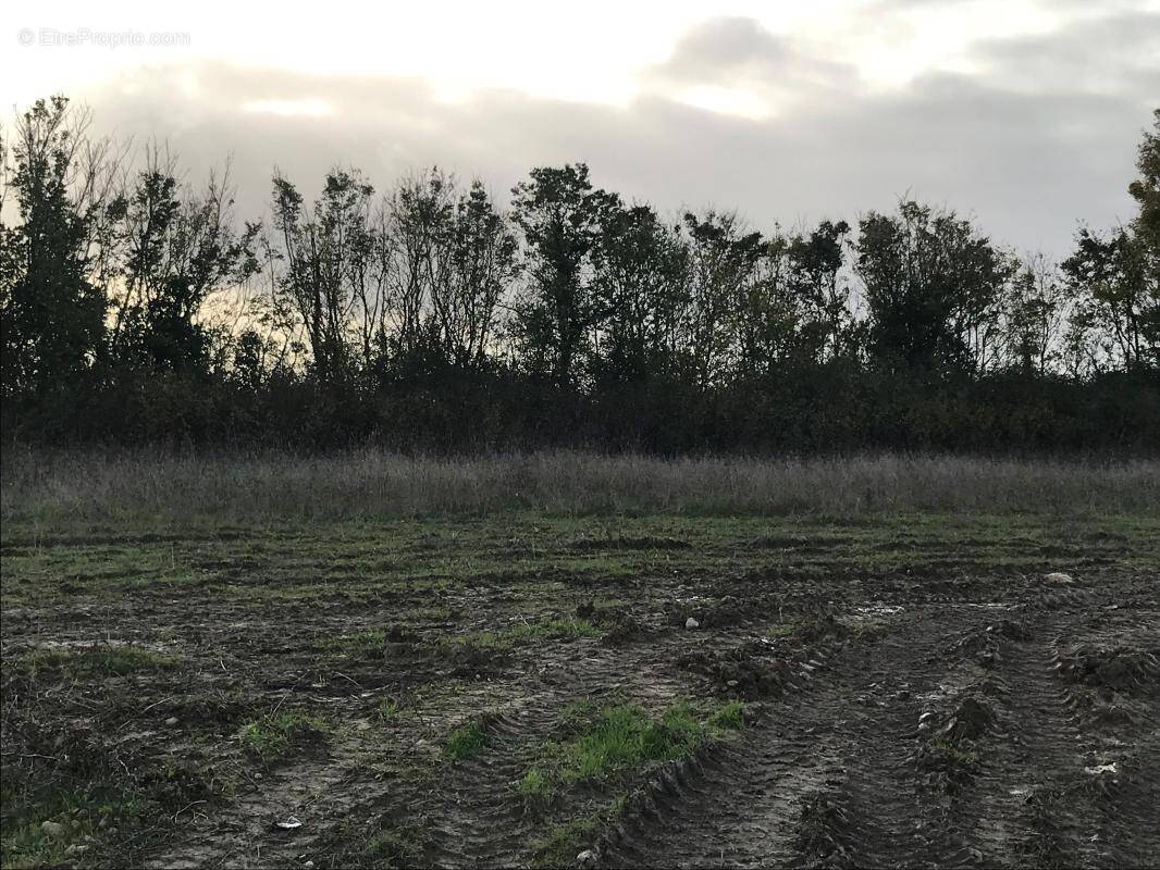 Terrain à ROCHEFORT